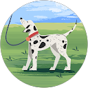 Mary profile picture